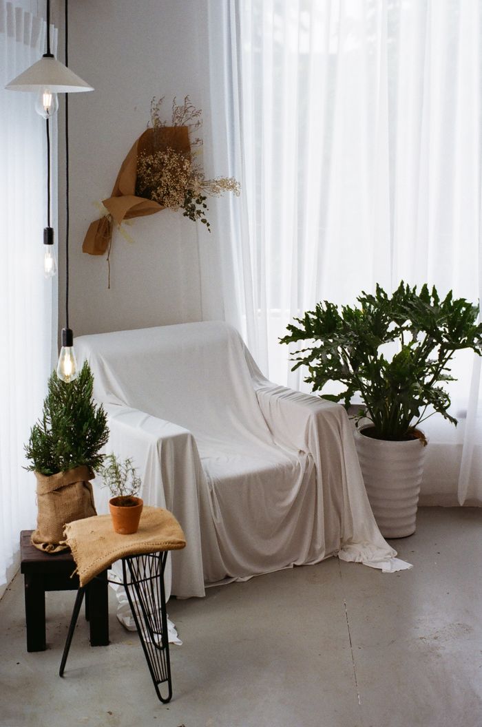 Elegant minimalist decor with a draped chair and lush plants, creating a serene indoor space.